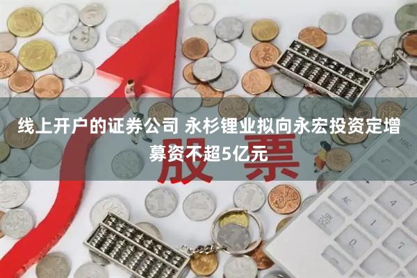 线上开户的证券公司 永杉锂业拟向永宏投资定增募资不超5亿元